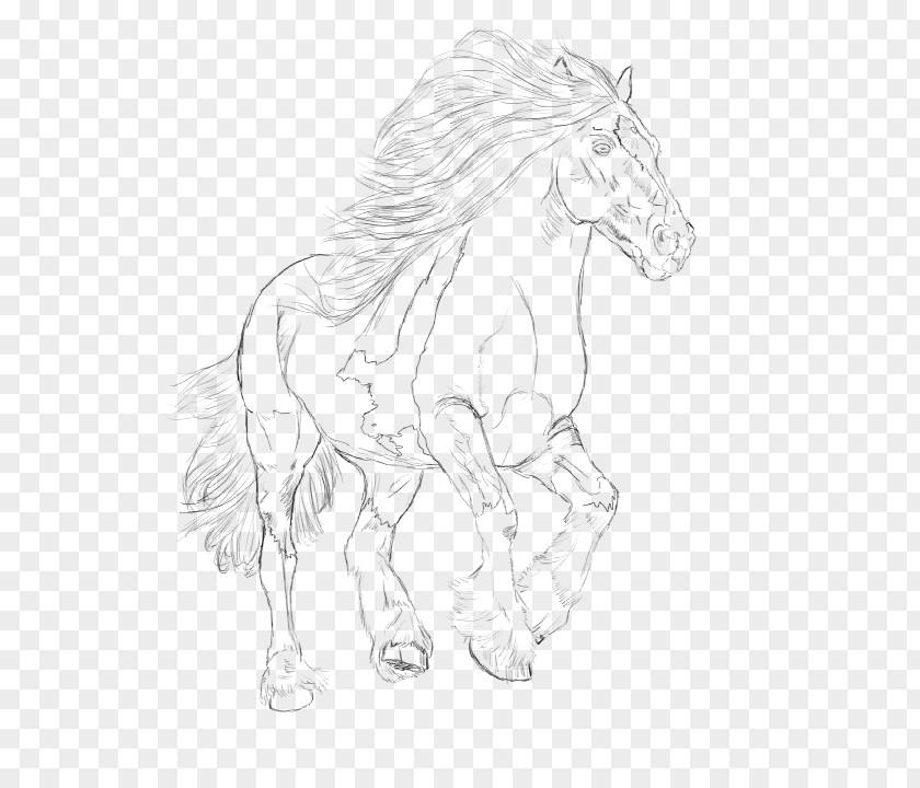 Gypsy Horse Mane Mustang Appaloosa Pony PNG