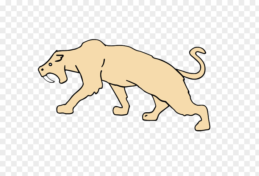 Lion Big Cat Panthera Spelaea Mammal PNG