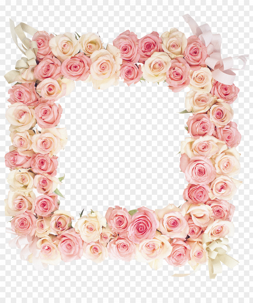 Pink Rose Frame Picture Flower PNG