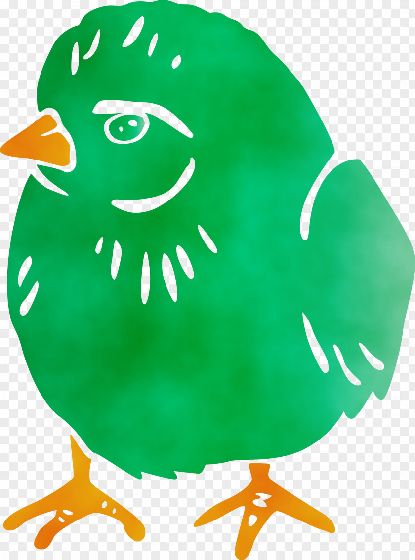 Beak Ducks Chicken Water Bird Birds PNG