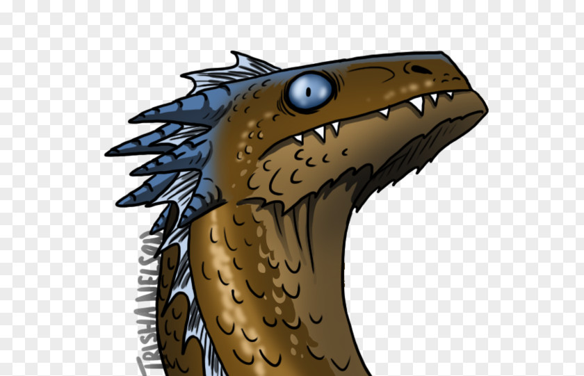 Bird Beak Of Prey Cartoon Illustration PNG