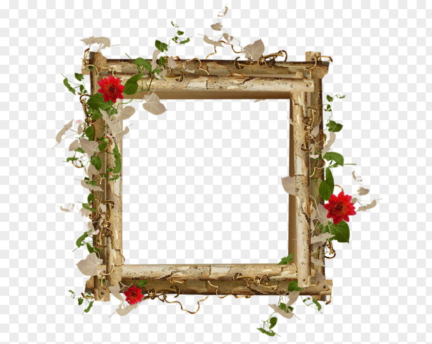 Exquisite Pictures Picture Frames Photography PNG