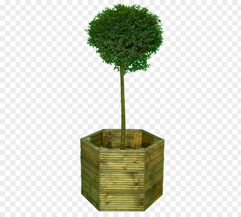 Large Plant Pot Deck Lumber Tree Wood Preservation Joist PNG