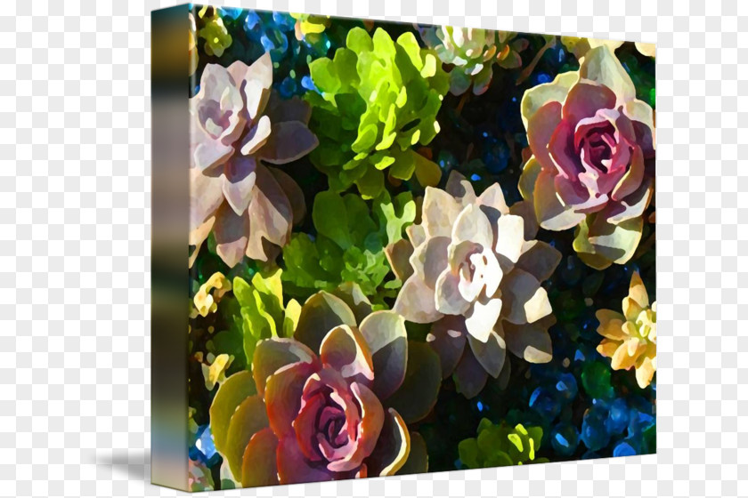 Succulent Border Plant Flower Floral Design Fine Art PNG