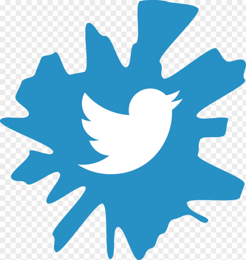 Twitter Follow Logo Video Clip Vector Graphics PNG