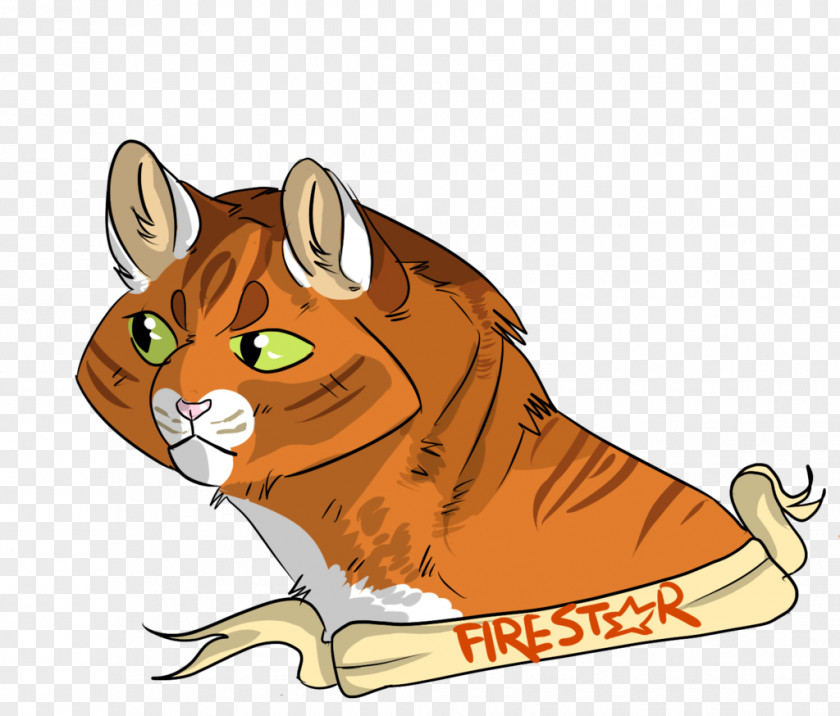 Cat Whiskers Lion Warriors Red Fox PNG