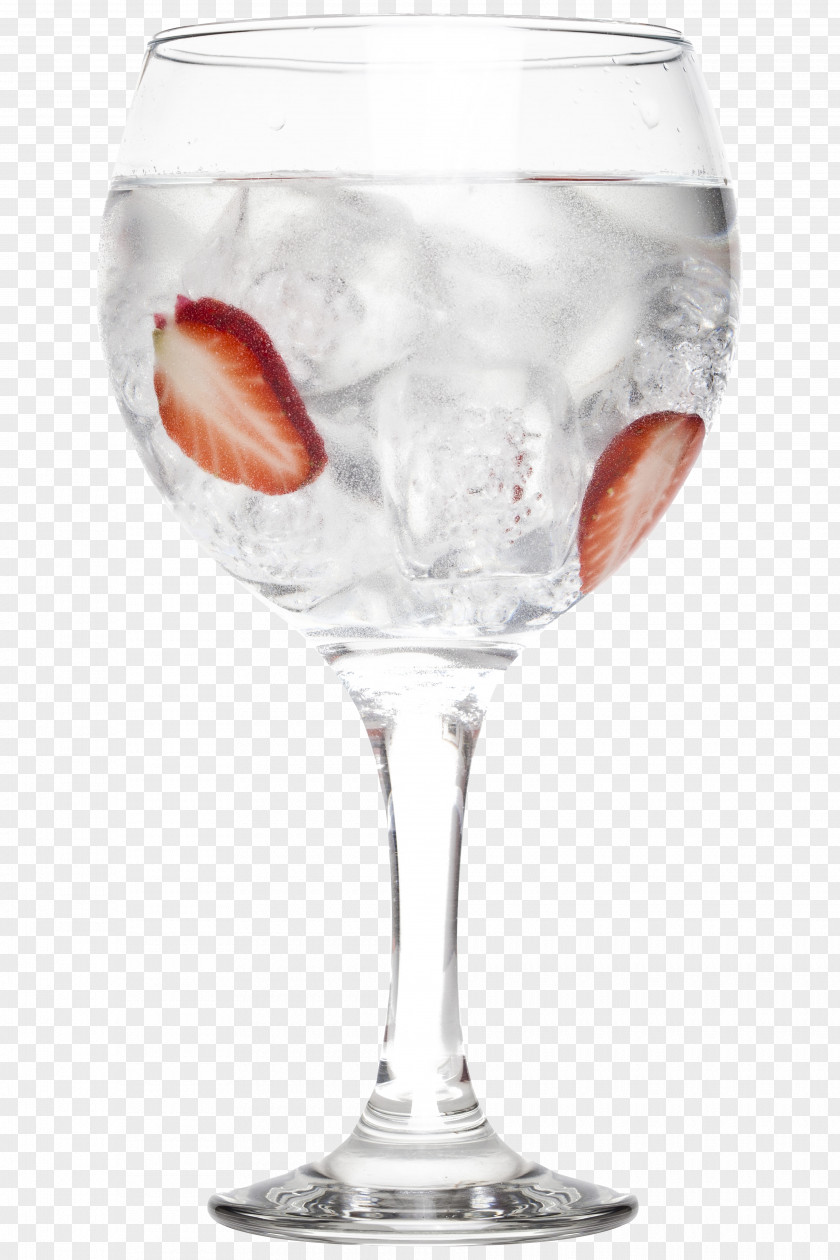 Cocktail Gin And Tonic Wine Glass Garnish PNG