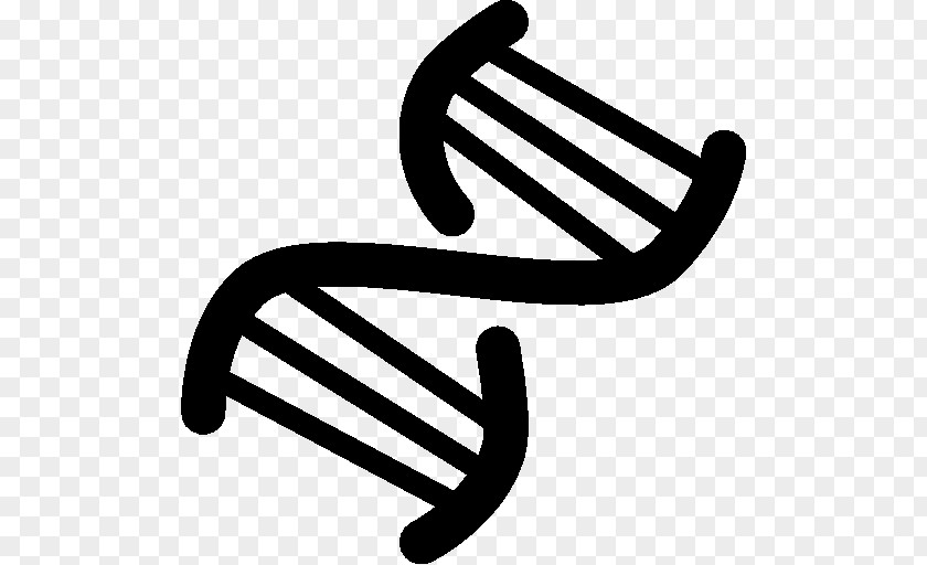 DNA Nucleic Acid Double Helix Clip Art PNG