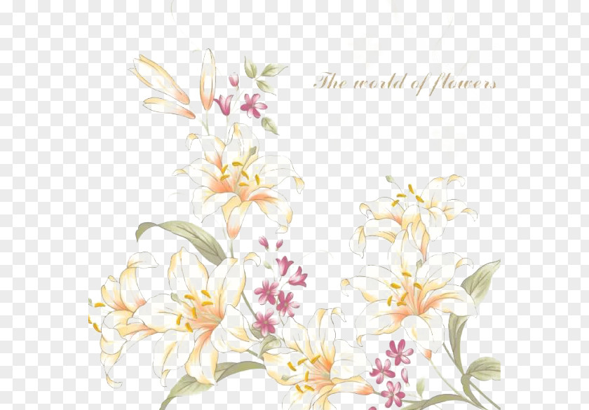 Hand-painted Lily Floral Design Desktop Wallpaper Flower PNG