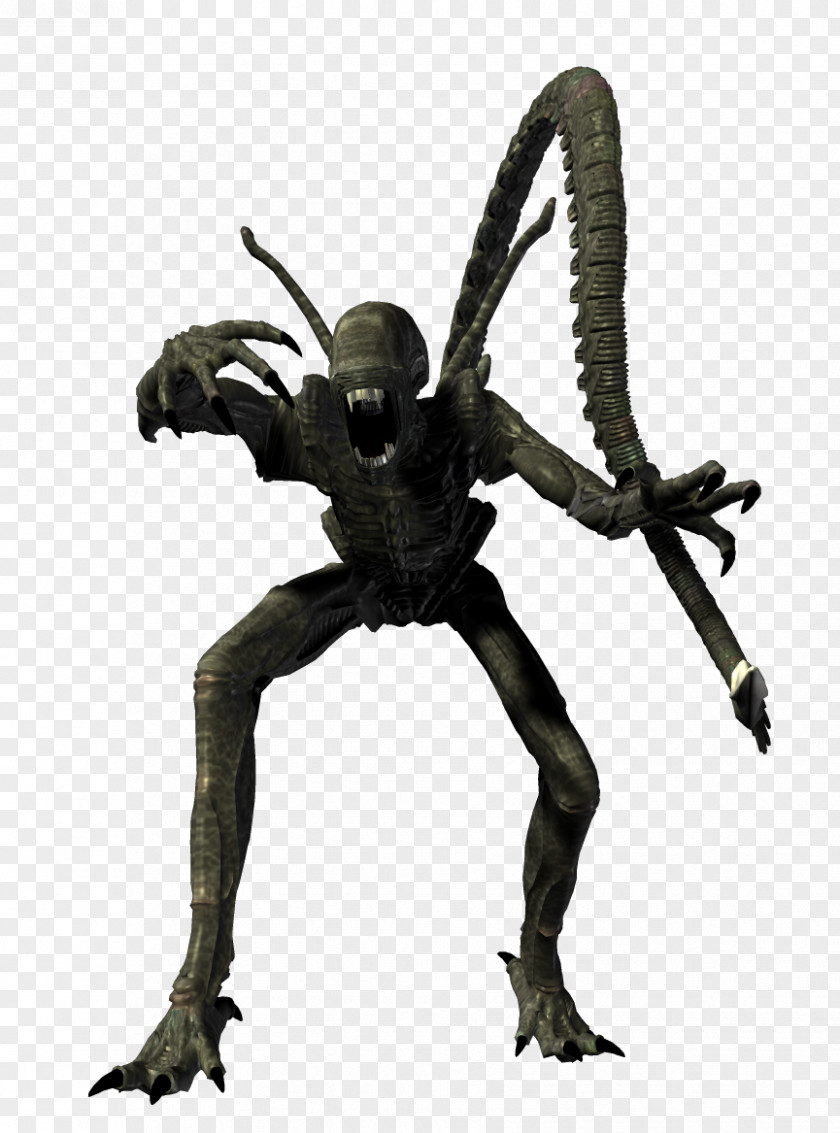 Alien Xenomorph Predator Image Character PNG