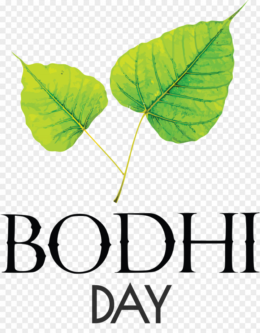 Bodhi Day PNG