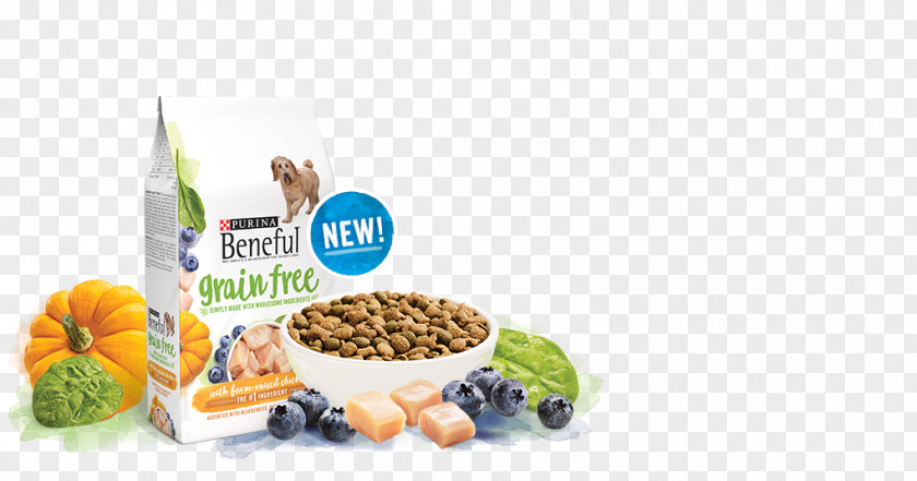 Cat Beneful Dog Food Pet Nestlé Purina PetCare Company PNG