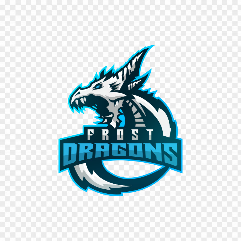 Dragon Electronic Sports The Elder Scrolls V: Skyrim Call Of Duty Major League Gaming PNG