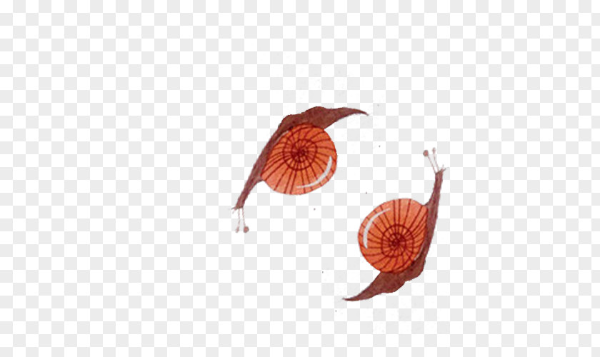 Fresh And Simple Hand-drawn Cute Snail Orthogastropoda PNG