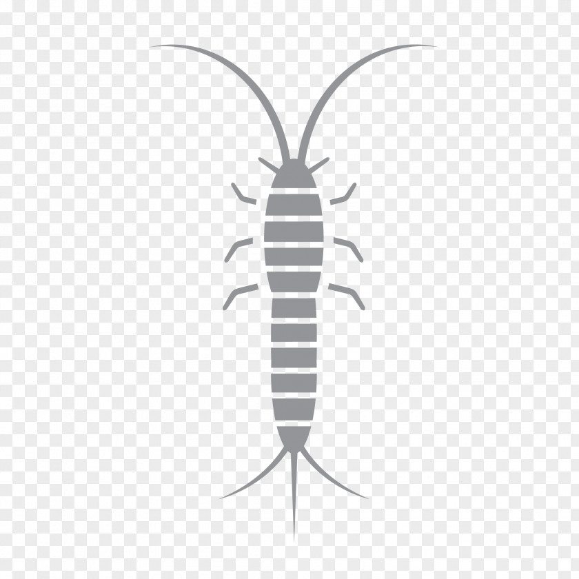 Insect Line Pest Font PNG