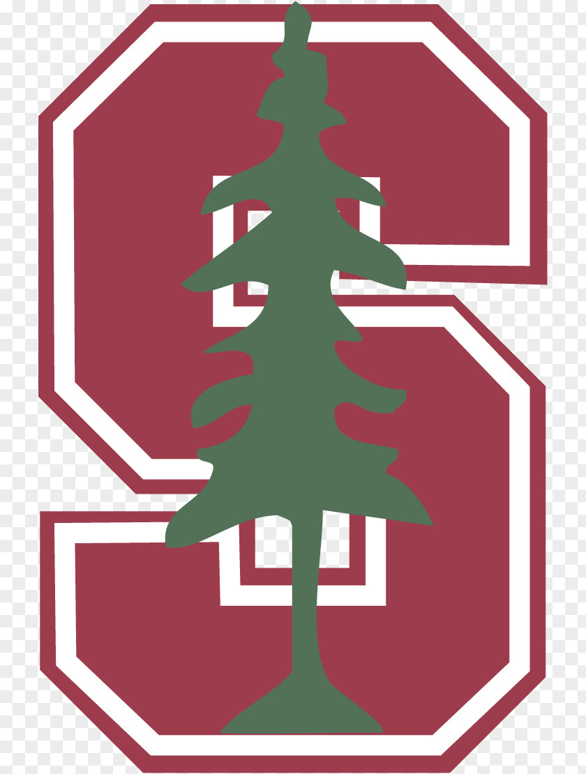 Jerry Can Stanford University School Of Engineering Cardinal Football NCAA Division I Bowl Subdivision Notre Dame Fighting Irish Tree PNG