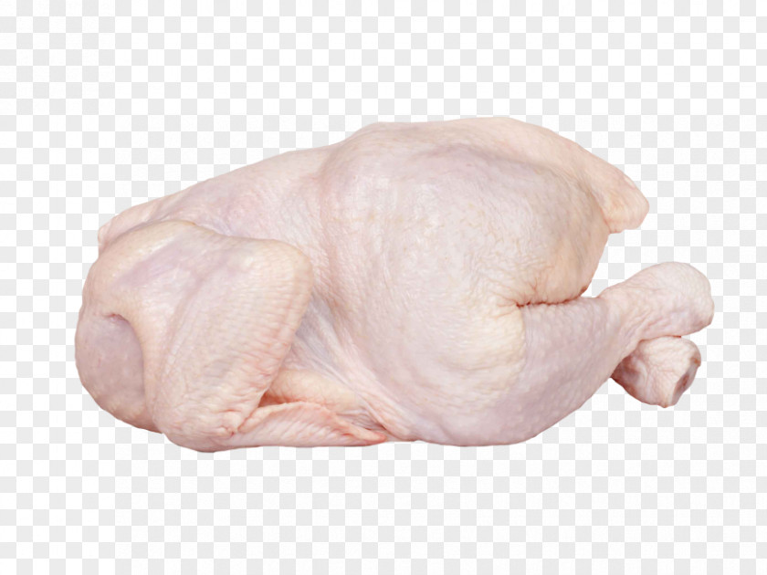 Leg Hand Pink Nose Chicken Breast Meat PNG