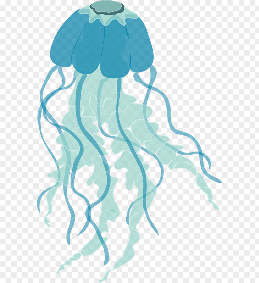 Marine Invertebrates Illustration Clip Art Character Flower PNG