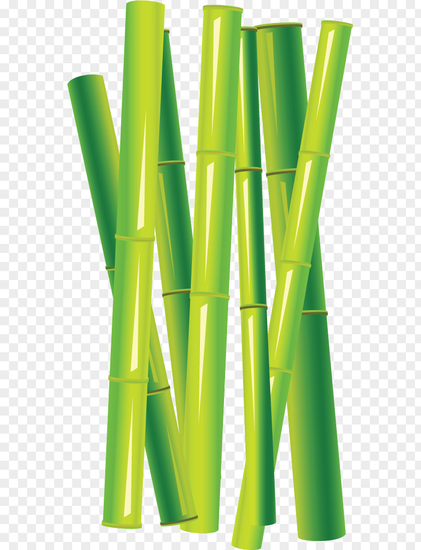 Grass Tropical Woody Bamboos （株）丸山喜之助商店 PNG