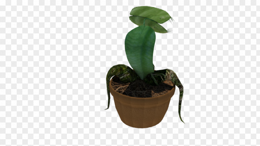 Leaf Flowerpot Houseplant PNG
