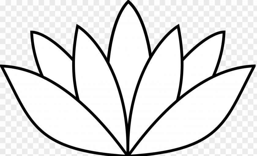 Lotus Flower Egyptian Nymphaea Nelumbo Nucifera Clip Art PNG