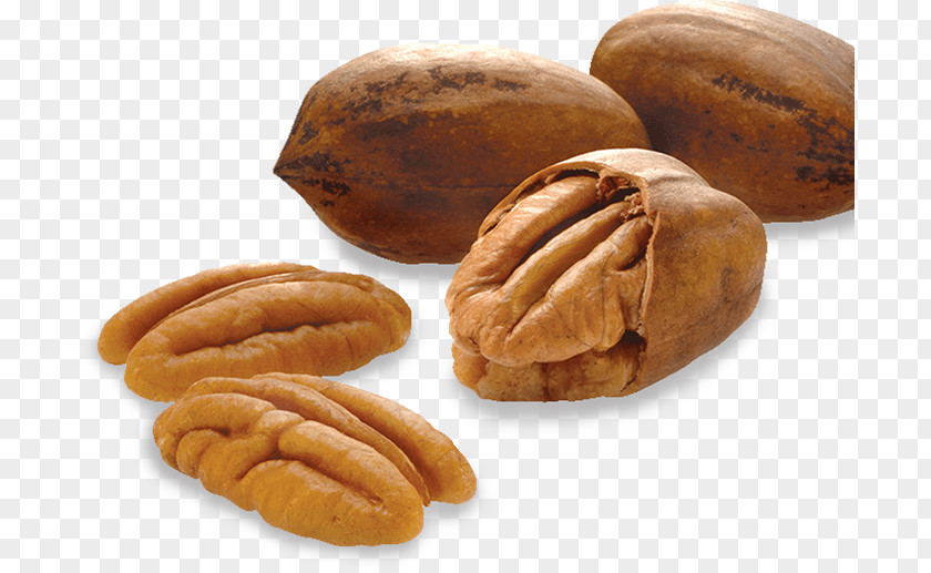 Nut Pine Pecan Almond Tree Allergy PNG