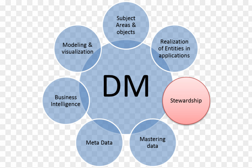 Business Data Steward Organization Management Stewardship PNG