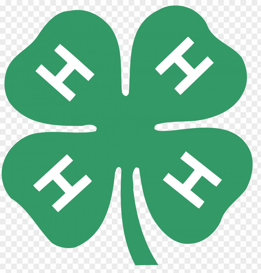 Clover 4-H Organization United States Cooperative State Research, Education, And Extension Service Youth PNG