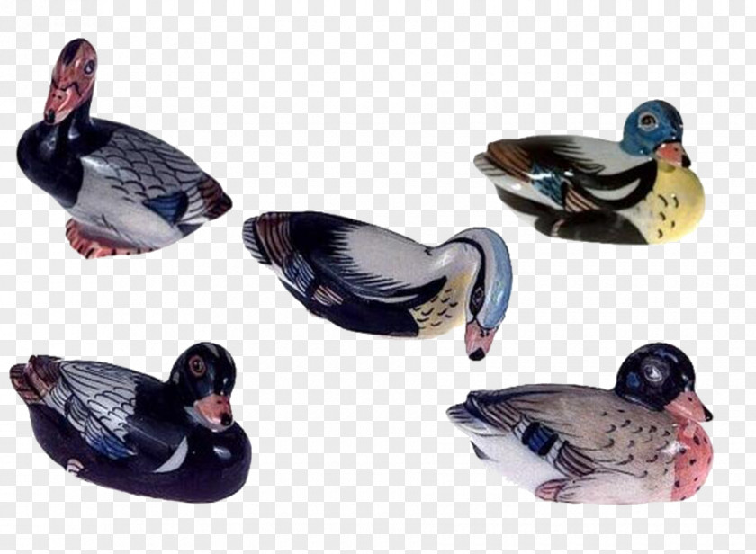 Duck Cygnini Porcelain Ceramic Drawing PNG