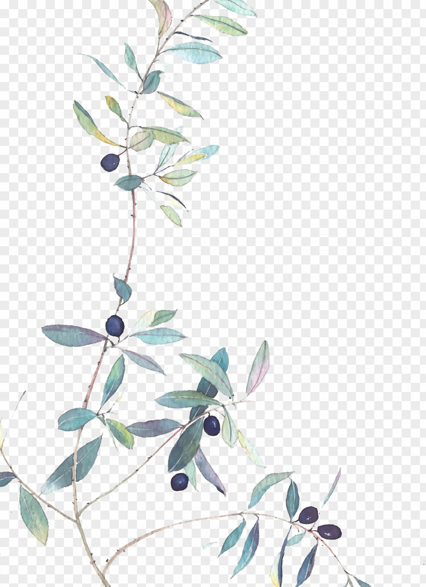 Hand-painted Blueberry Branches Cocktail Taobao JD.com Book PNG