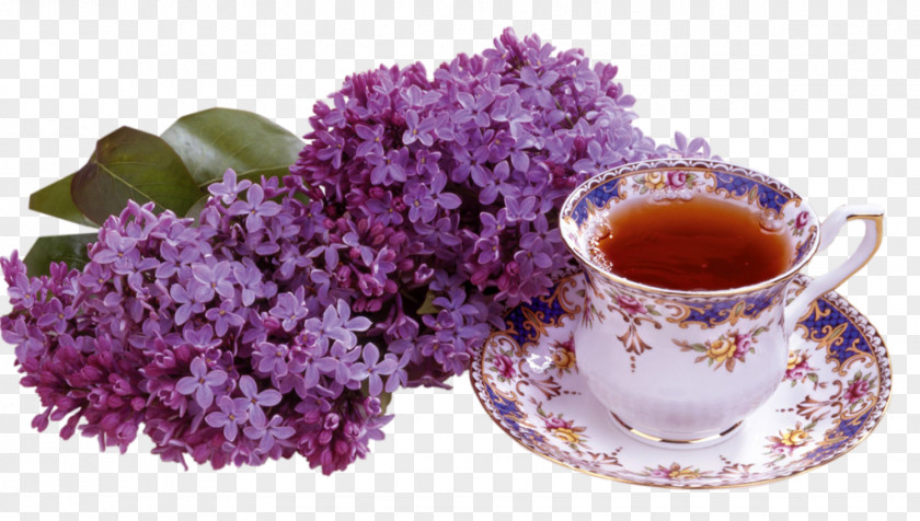 Lilac Flower Teacup Coffee Petit Four PNG