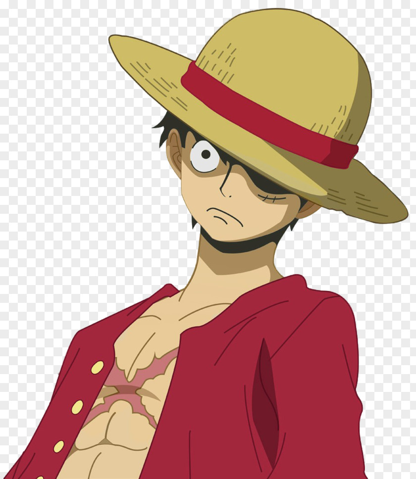 LUFFY One Piece: Pirate Warriors 3 Unlimited Adventure Burning Blood Monkey D. Luffy PNG