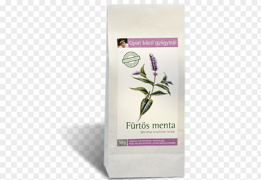 Tea Mentha Longifolia Herb Lemon Balm Breckland Thyme PNG