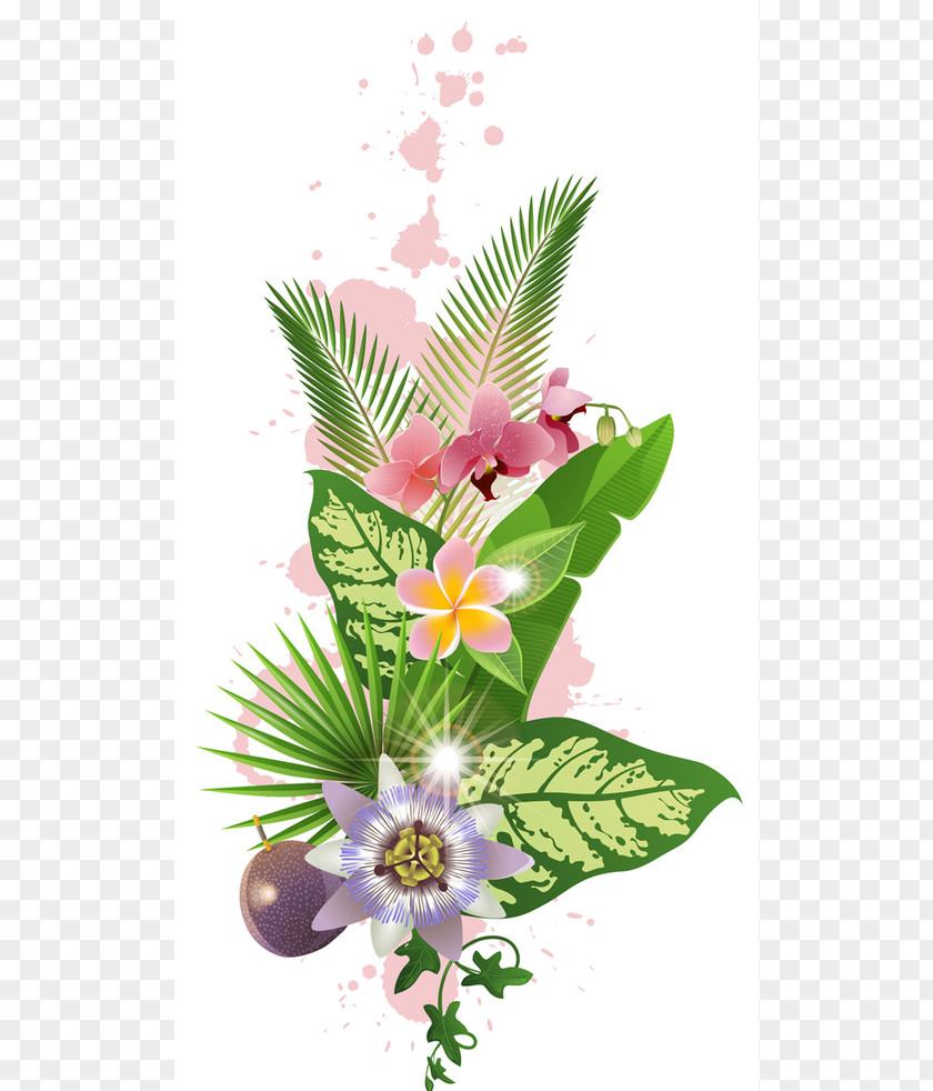 Flower Vector Graphics Clip Art Tropics Floral Design PNG