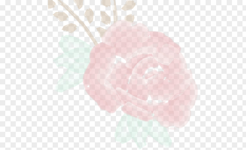 Peony Garden Roses Cabbage Rose Pink M Petal PNG