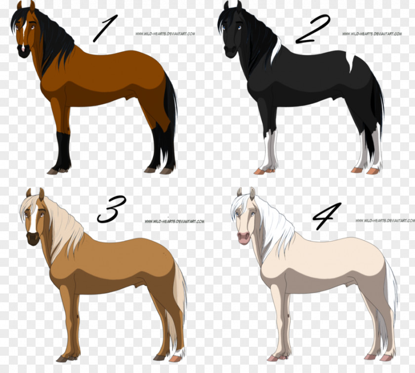 Pre Sale Dog Breed Mustang Donkey Stallion Mare PNG