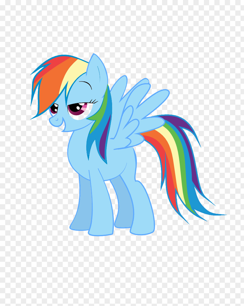 Rainbow Pony Dash Twilight Sparkle Rarity Applejack PNG