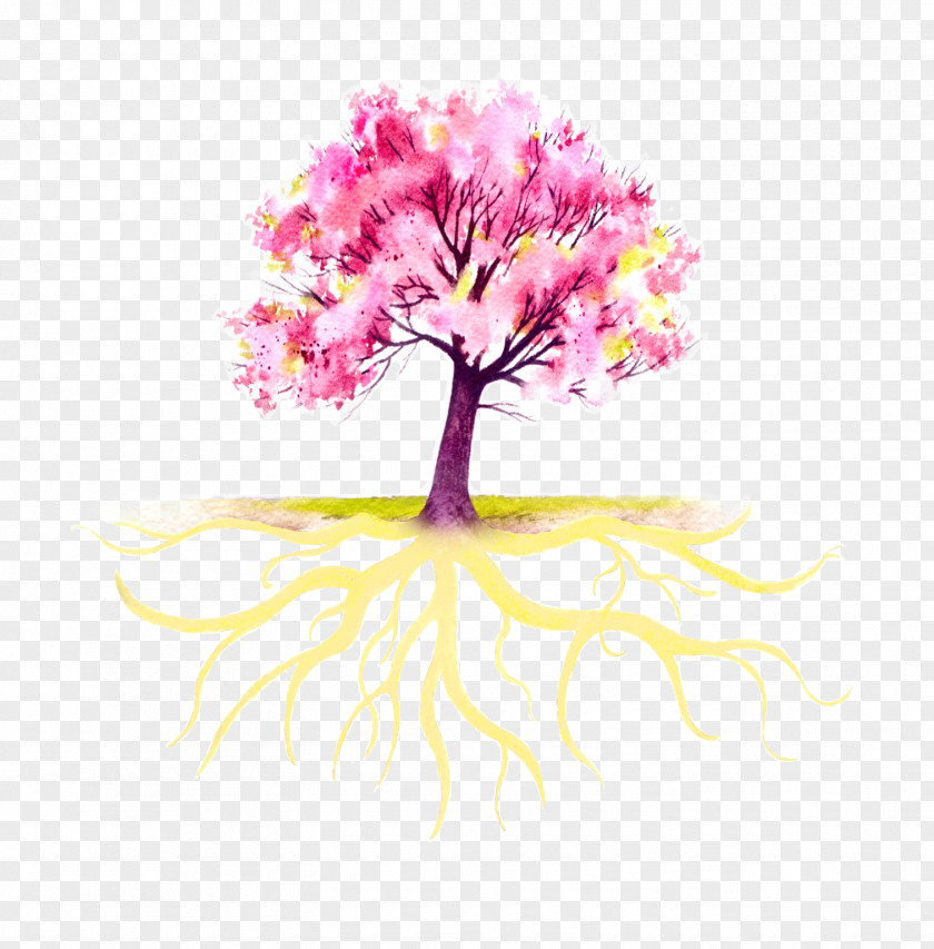 Tree Doula Root PNG