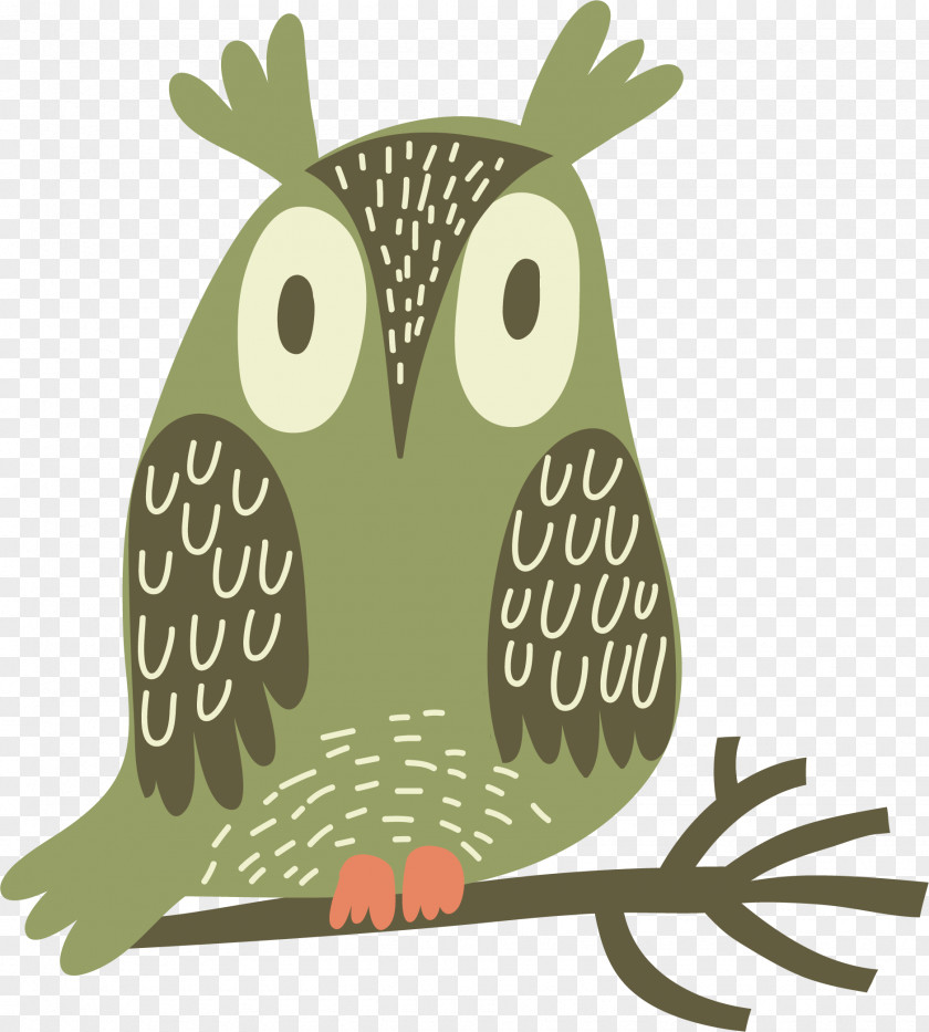 Vector Hand Painted Owl Poster Illustration PNG