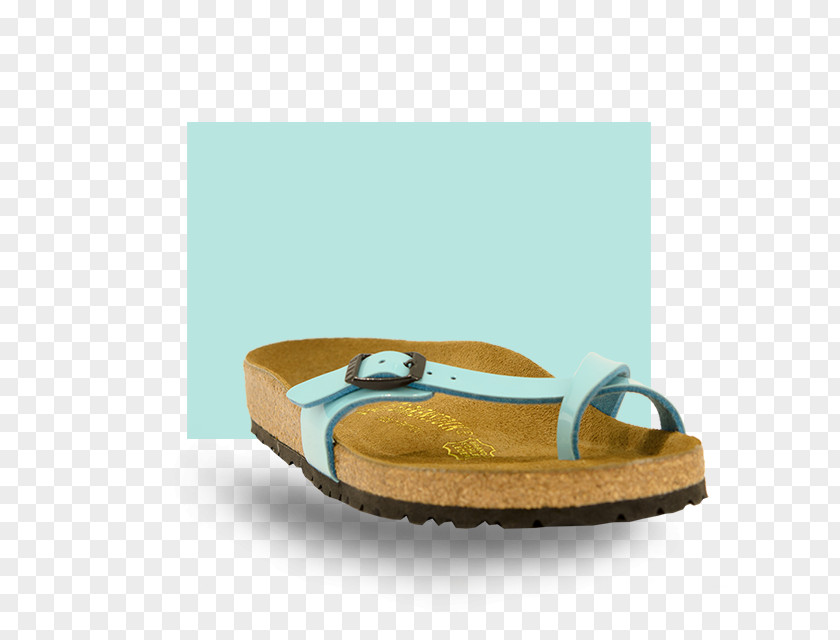 Design Flip-flops Shoe PNG