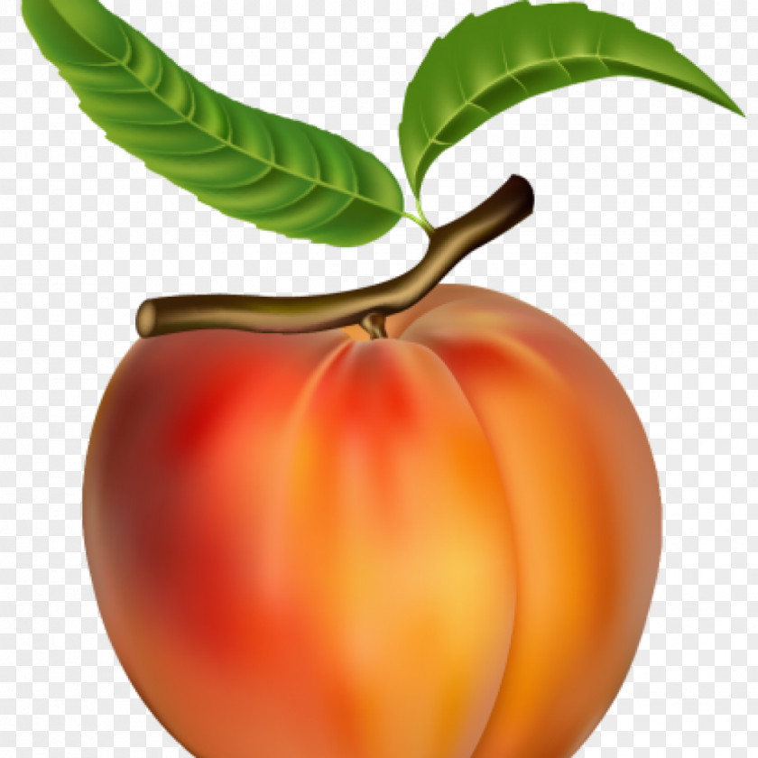 Healthy Food Heart Clip Art Vector Graphics Peach Fruit PNG