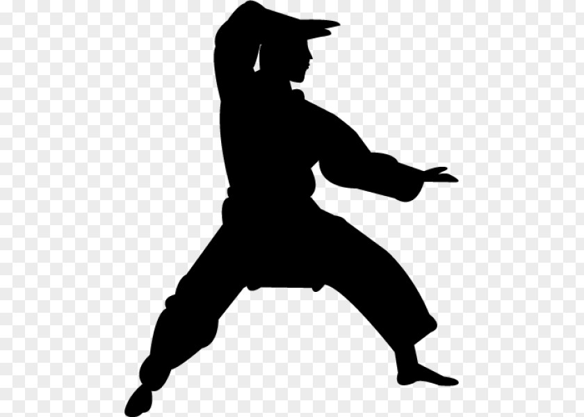 Judo Sports Martial Arts Shaolin Monastery Karate Chinese Kung Fu PNG