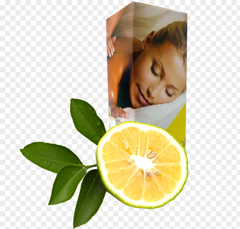 Lemon Ylang-ylang Indian Sandalwood Essential Oil PNG