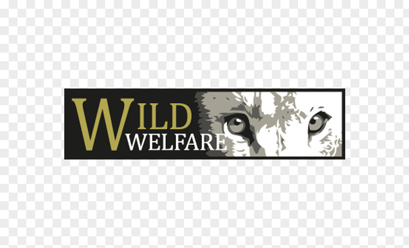 Animal Welfare Zoo Conservation Stakeholder Yorkshire Wildlife Park PNG