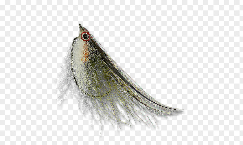 Bluegill Flies Beak Close-up Feather PNG