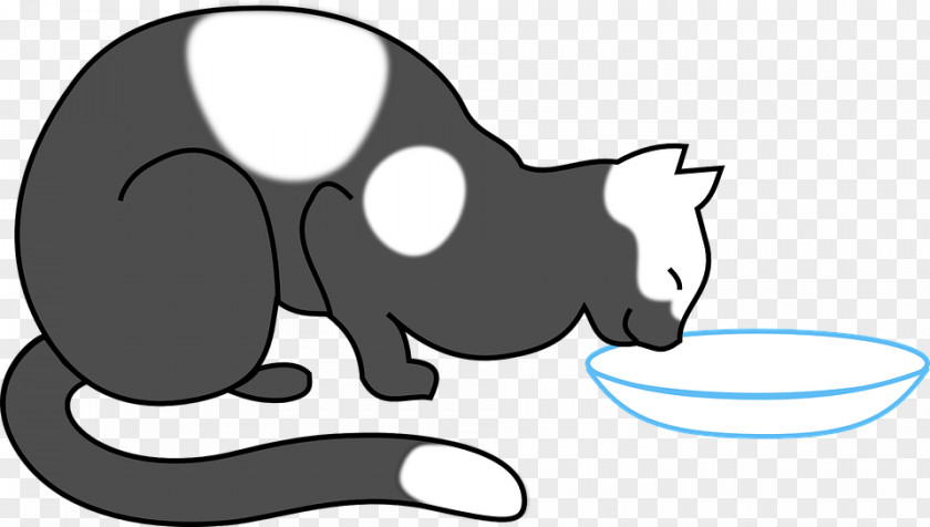 Cat Food Kitten Clip Art PNG