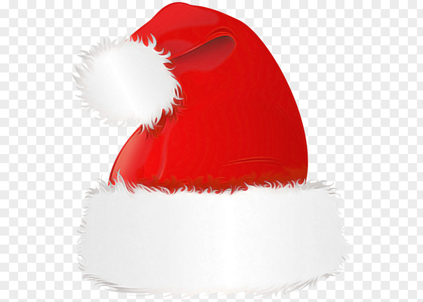 Costume Cap Santa Claus PNG