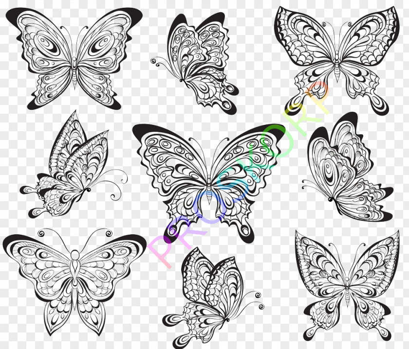 Creative Butterfly Drawing Tattoo Motif Clip Art PNG