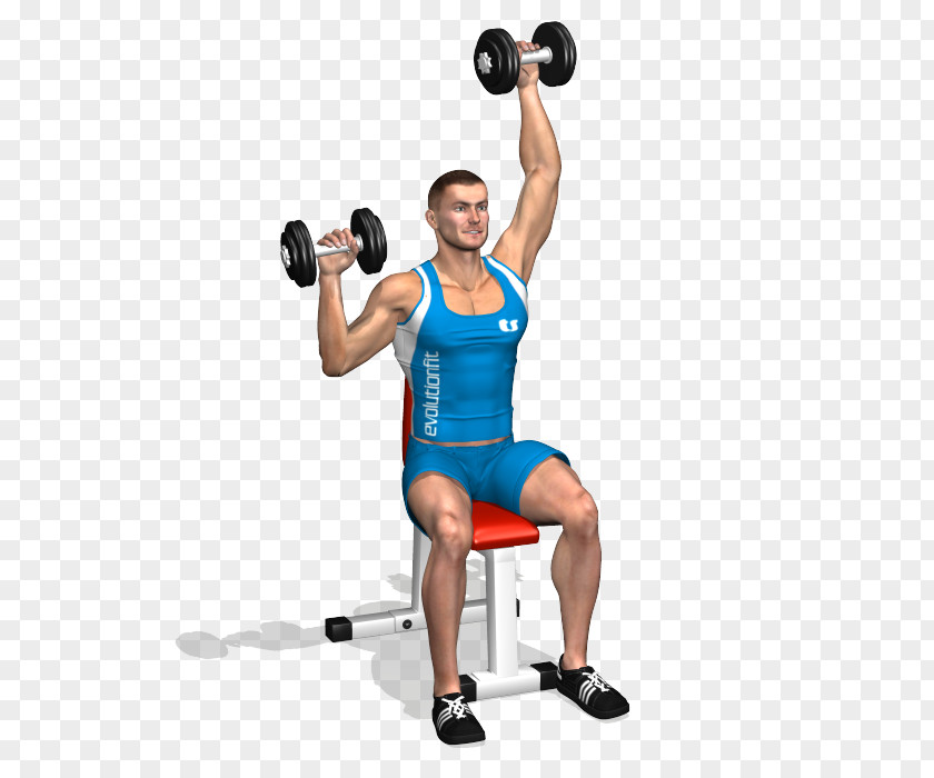 Dumbbell Weight Training Shoulder Deltoid Muscle Front Raise PNG