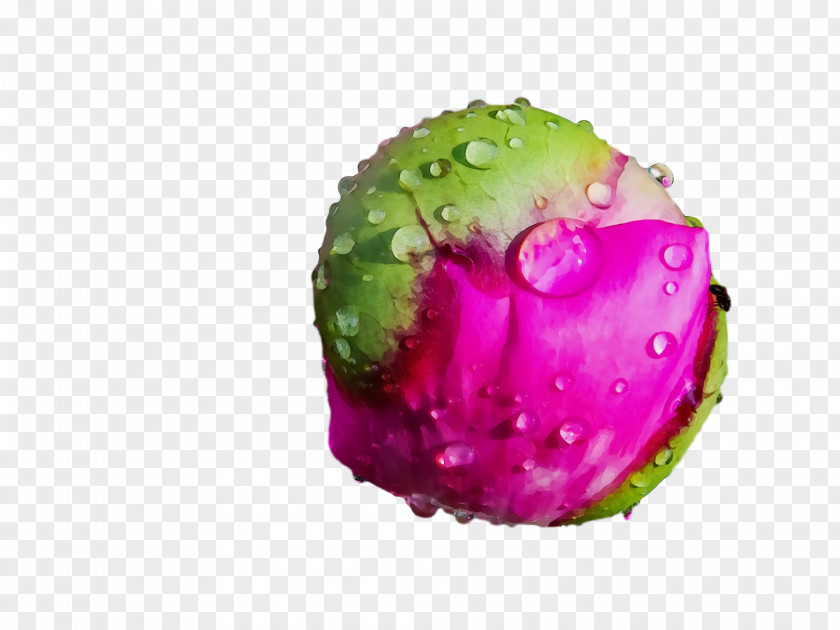 Fruit Magenta Telekom PNG